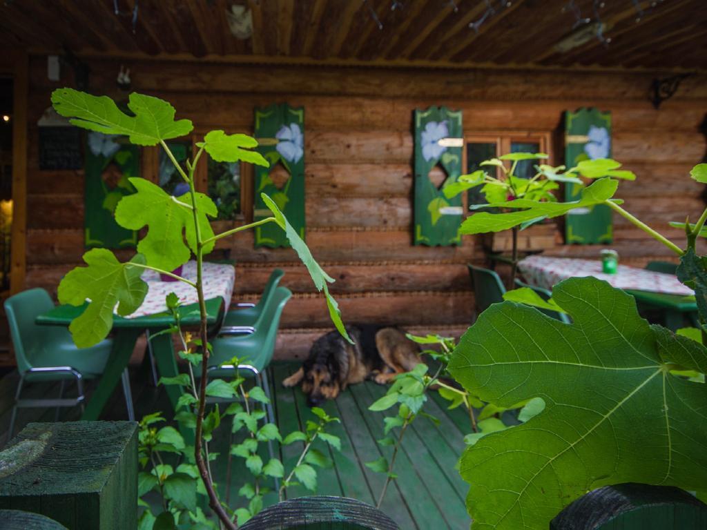 Willa Jagniatkow Bed and Breakfast Esterno foto